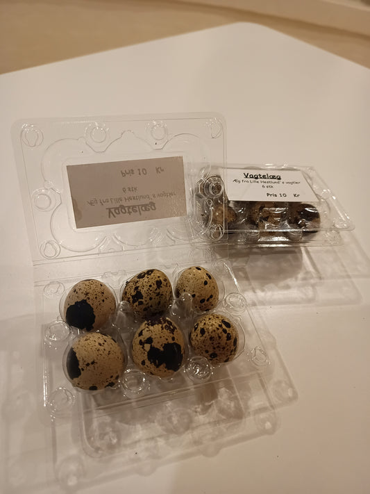 🥚 Vagtelæg til spisning – 6 stk.